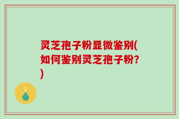 灵芝孢子粉显微鉴别(如何鉴别灵芝孢子粉？)-第1张图片-破壁灵芝孢子粉研究指南
