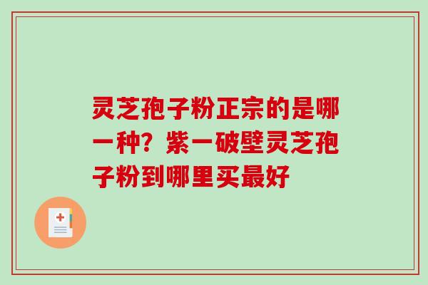 灵芝孢子粉正宗的是哪一种？紫一破壁灵芝孢子粉到哪里买最好-第1张图片-破壁灵芝孢子粉研究指南