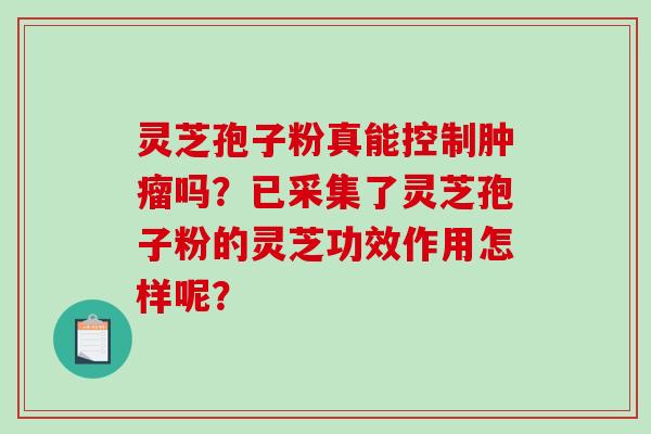 灵芝孢子粉真能控制肿瘤吗？已采集了灵芝孢子粉的灵芝功效作用怎样呢？-第1张图片-破壁灵芝孢子粉研究指南