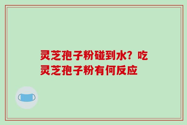 灵芝孢子粉碰到水?吃灵芝孢子粉有何反应-第1张图片-破壁灵芝孢子粉研究指南 灵芝孢子粉碰到水?吃灵芝孢子粉有何反应-第1张图片-破壁灵芝孢子粉研究指南