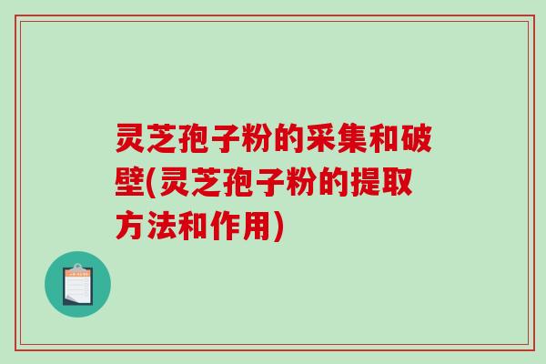 灵芝孢子粉的采集和破壁(灵芝孢子粉的提取方法和作用)-第1张图片-破壁灵芝孢子粉研究指南 灵芝孢子粉的采集和破壁(灵芝孢子粉的提取方法和作用)-第1张图片-破壁灵芝孢子粉研究指南