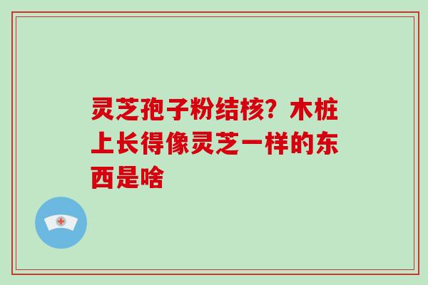 灵芝孢子粉结核?木桩上长得像灵芝一样的东西是啥-第1张图片-破壁灵芝孢子粉研究指南 灵芝孢子粉结核?木桩上长得像灵芝一样的东西是啥-第1张图片-破壁灵芝孢子粉研究指南