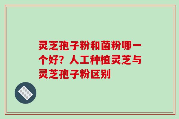 灵芝孢子粉和菌粉哪一个好?人工种植灵芝与灵芝孢子粉区别-第1张图片-破壁灵芝孢子粉研究指南 灵芝孢子粉和菌粉哪一个好?人工种植灵芝与灵芝孢子粉区别-第1张图片-破壁灵芝孢子粉研究指南