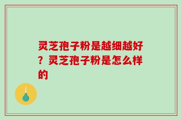 灵芝孢子粉是越细越好?灵芝孢子粉是怎么样的-第1张图片-破壁灵芝孢子粉研究指南 灵芝孢子粉是越细越好?灵芝孢子粉是怎么样的-第1张图片-破壁灵芝孢子粉研究指南