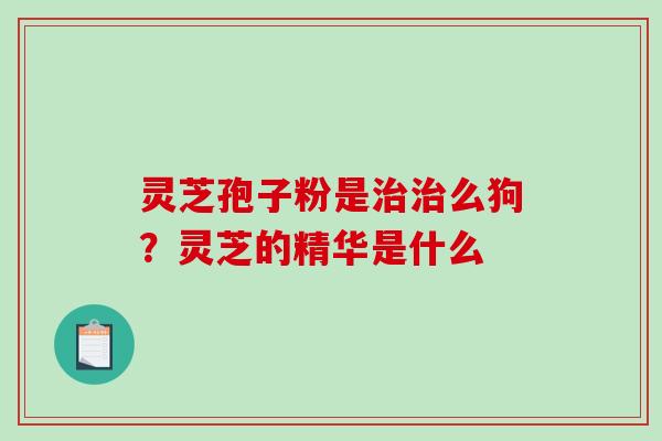 灵芝孢子粉是治治么狗?灵芝的精华是什么-第1张图片-破壁灵芝孢子粉研究指南 灵芝孢子粉是治治么狗?灵芝的精华是什么-第1张图片-破壁灵芝孢子粉研究指南