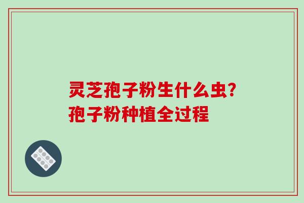灵芝孢子粉生什么虫?孢子粉种植全过程-第1张图片-破壁灵芝孢子粉研究指南 灵芝孢子粉生什么虫?孢子粉种植全过程-第1张图片-破壁灵芝孢子粉研究指南