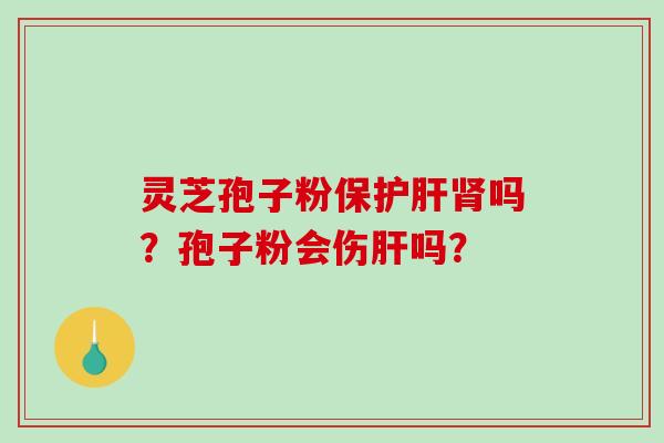 灵芝孢子粉保护肝肾吗?孢子粉会伤肝吗?-第1张图片-破壁灵芝孢子粉研究指南 灵芝孢子粉保护肝肾吗?孢子粉会伤肝吗?-第1张图片-破壁灵芝孢子粉研究指南