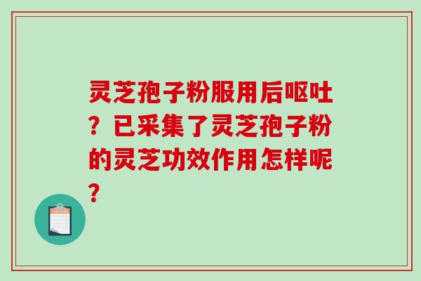 灵芝孢子粉服用后呕吐?已采集了灵芝孢子粉的灵芝功效作用怎样呢?-第1张图片-破壁灵芝孢子粉研究指南 灵芝孢子粉服用后呕吐?已采集了灵芝孢子粉的灵芝功效作用怎样呢?-第1张图片-破壁灵芝孢子粉研究指南