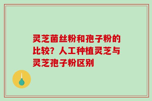 灵芝菌丝粉和孢子粉的比较?人工种植灵芝与灵芝孢子粉区别-第1张图片-破壁灵芝孢子粉研究指南 灵芝菌丝粉和孢子粉的比较?人工种植灵芝与灵芝孢子粉区别-第1张图片-破壁灵芝孢子粉研究指南