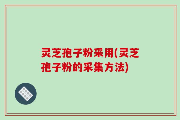 灵芝孢子粉采用(灵芝孢子粉的采集方法)-第1张图片-破壁灵芝孢子粉研究指南 灵芝孢子粉采用(灵芝孢子粉的采集方法)-第1张图片-破壁灵芝孢子粉研究指南