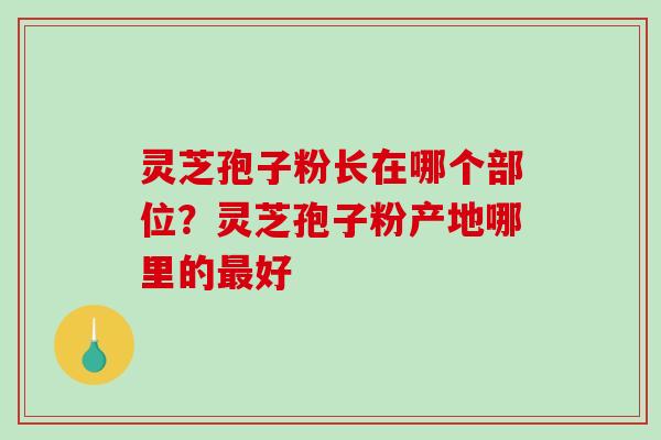 灵芝孢子粉长在哪个部位？灵芝孢子粉产地哪里的最好-第1张图片-破壁灵芝孢子粉研究指南