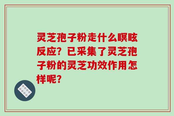灵芝孢子粉走什么瞑眩反应?已采集了灵芝孢子粉的灵芝功效作用怎样呢?-第1张图片-破壁灵芝孢子粉研究指南 灵芝孢子粉走什么瞑眩反应?已采集了灵芝孢子粉的灵芝功效作用怎样呢?-第1张图片-破壁灵芝孢子粉研究指南