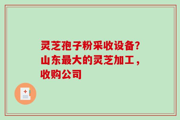 灵芝孢子粉采收设备?山东最大的灵芝加工,收购公司-第1张图片-破壁灵芝孢子粉研究指南 灵芝孢子粉采收设备?山东最大的灵芝加工,收购公司-第1张图片-破壁灵芝孢子粉研究指南