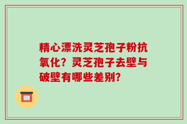 精心漂洗灵芝孢子粉抗氧化?灵芝孢子去壁与破壁有哪些差别?-第1张图片-破壁灵芝孢子粉研究指南 精心漂洗灵芝孢子粉抗氧化?灵芝孢子去壁与破壁有哪些差别?-第1张图片-破壁灵芝孢子粉研究指南