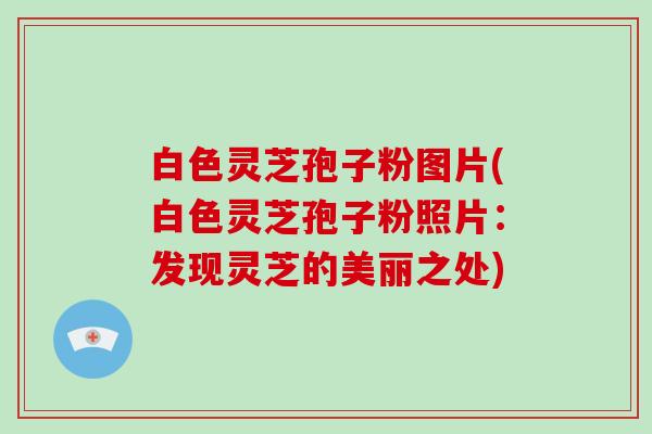 白色灵芝孢子粉图片(白色灵芝孢子粉照片:发现灵芝的美丽之处)-第1张图片-破壁灵芝孢子粉研究指南 白色灵芝孢子粉图片(白色灵芝孢子粉照片:发现灵芝的美丽之处)-第1张图片-破壁灵芝孢子粉研究指南