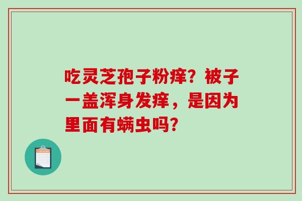 吃灵芝孢子粉痒?被子一盖浑身发痒,是因为里面有螨虫吗?-第1张图片-破壁灵芝孢子粉研究指南 吃灵芝孢子粉痒?被子一盖浑身发痒,是因为里面有螨虫吗?-第1张图片-破壁灵芝孢子粉研究指南