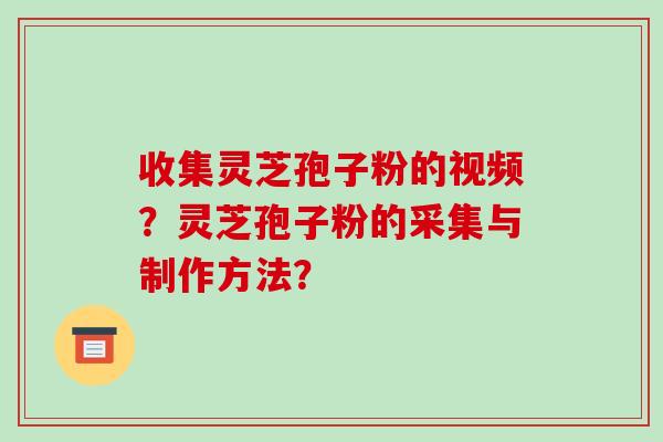 收集灵芝孢子粉的视频?灵芝孢子粉的采集与制作方法?-第1张图片-破壁灵芝孢子粉研究指南 收集灵芝孢子粉的视频?灵芝孢子粉的采集与制作方法?-第1张图片-破壁灵芝孢子粉研究指南