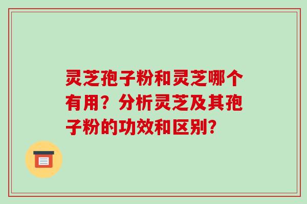 灵芝孢子粉和灵芝哪个有用？分析灵芝及其孢子粉的功效和区别？-第1张图片-破壁灵芝孢子粉研究指南