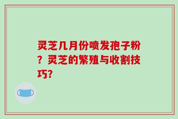 灵芝几月份喷发孢子粉?灵芝的繁殖与收割技巧?-第1张图片-破壁灵芝孢子粉研究指南 灵芝几月份喷发孢子粉?灵芝的繁殖与收割技巧?-第1张图片-破壁灵芝孢子粉研究指南