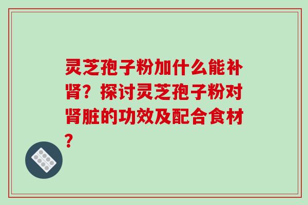 灵芝孢子粉加什么能补肾?探讨灵芝孢子粉对肾脏的功效及配合食材?-第1张图片-破壁灵芝孢子粉研究指南 灵芝孢子粉加什么能补肾?探讨灵芝孢子粉对肾脏的功效及配合食材?-第1张图片-破壁灵芝孢子粉研究指南