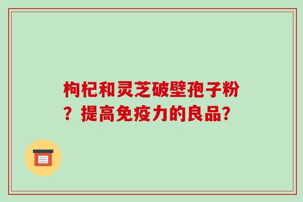枸杞和灵芝破壁孢子粉？提高免疫力的良品？-第1张图片-破壁灵芝孢子粉研究指南