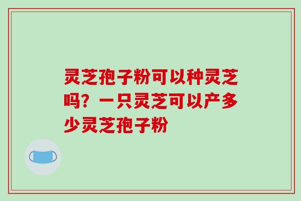灵芝孢子粉可以种灵芝吗?一只灵芝可以产多少灵芝孢子粉-第1张图片-破壁灵芝孢子粉研究指南 灵芝孢子粉可以种灵芝吗?一只灵芝可以产多少灵芝孢子粉-第1张图片-破壁灵芝孢子粉研究指南