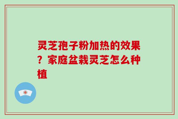 灵芝孢子粉加热的效果？家庭盆栽灵芝怎么种植-第1张图片-破壁灵芝孢子粉研究指南