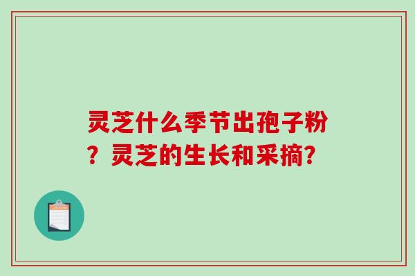 灵芝什么季节出孢子粉?灵芝的生长和采摘?-第1张图片-破壁灵芝孢子粉研究指南 灵芝什么季节出孢子粉?灵芝的生长和采摘?-第1张图片-破壁灵芝孢子粉研究指南