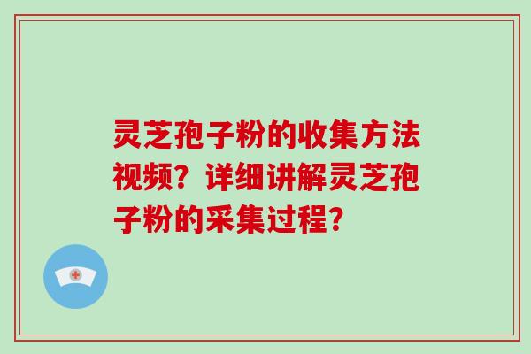灵芝孢子粉的收集方法视频?详细讲解灵芝孢子粉的采集过程?-第1张图片-破壁灵芝孢子粉研究指南 灵芝孢子粉的收集方法视频?详细讲解灵芝孢子粉的采集过程?-第1张图片-破壁灵芝孢子粉研究指南