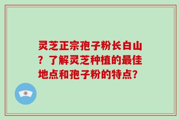 灵芝正宗孢子粉长白山?了解灵芝种植的最佳地点和孢子粉的特点?-第1张图片-破壁灵芝孢子粉研究指南 灵芝正宗孢子粉长白山?了解灵芝种植的最佳地点和孢子粉的特点?-第1张图片-破壁灵芝孢子粉研究指南
