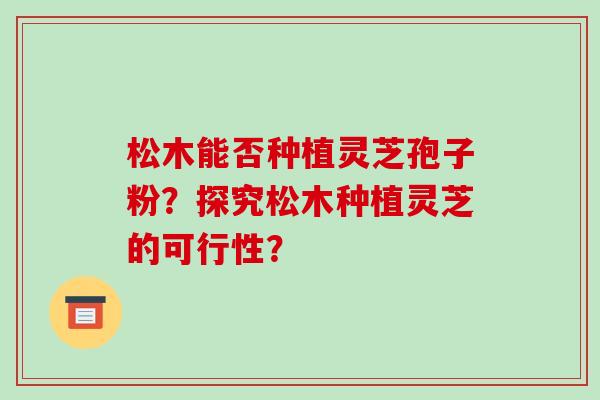 松木能否种植灵芝孢子粉?探究松木种植灵芝的可行性?-第1张图片-破壁灵芝孢子粉研究指南 松木能否种植灵芝孢子粉?探究松木种植灵芝的可行性?-第1张图片-破壁灵芝孢子粉研究指南