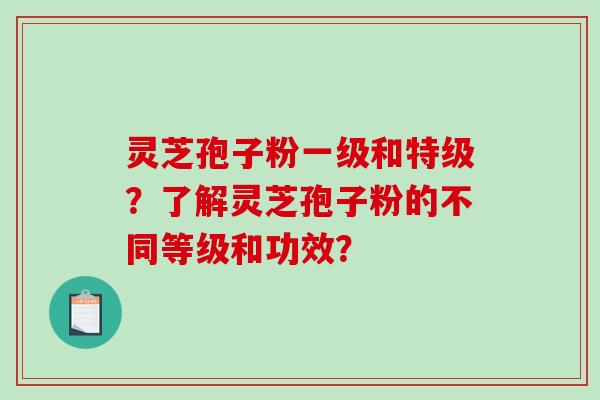灵芝孢子粉一级和特级？了解灵芝孢子粉的不同等级和功效？-第1张图片-破壁灵芝孢子粉研究指南
