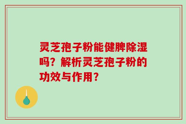 灵芝孢子粉能健脾除湿吗?解析灵芝孢子粉的功效与作用?-第1张图片-破壁灵芝孢子粉研究指南 灵芝孢子粉能健脾除湿吗?解析灵芝孢子粉的功效与作用?-第1张图片-破壁灵芝孢子粉研究指南