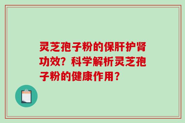 灵芝孢子粉的保肝护肾功效？科学解析灵芝孢子粉的健康作用？-第1张图片-破壁灵芝孢子粉研究指南