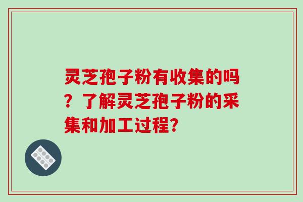 灵芝孢子粉有收集的吗?了解灵芝孢子粉的采集和加工过程?-第1张图片-破壁灵芝孢子粉研究指南 灵芝孢子粉有收集的吗?了解灵芝孢子粉的采集和加工过程?-第1张图片-破壁灵芝孢子粉研究指南