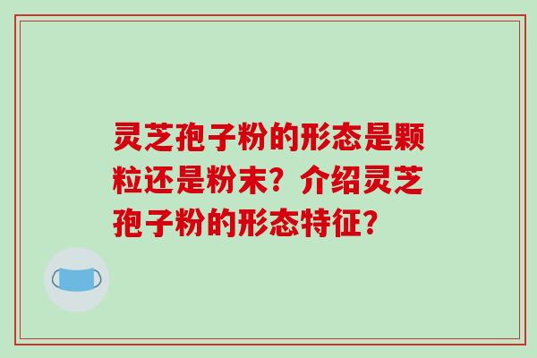 灵芝孢子粉的形态是颗粒还是粉末?介绍灵芝孢子粉的形态特征?-第1张图片-破壁灵芝孢子粉研究指南 灵芝孢子粉的形态是颗粒还是粉末?介绍灵芝孢子粉的形态特征?-第1张图片-破壁灵芝孢子粉研究指南
