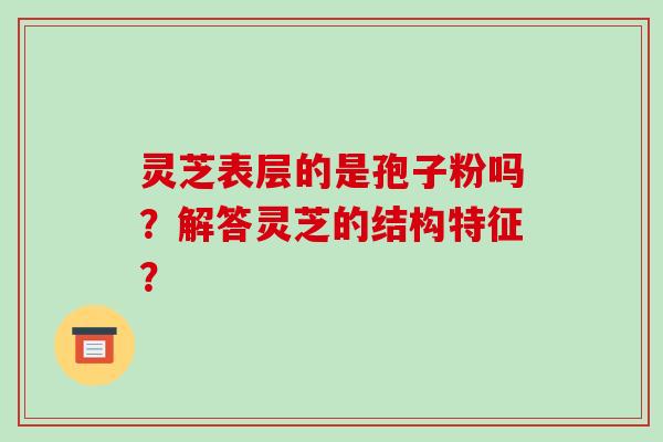 灵芝表层的是孢子粉吗？解答灵芝的结构特征？-第1张图片-破壁灵芝孢子粉研究指南