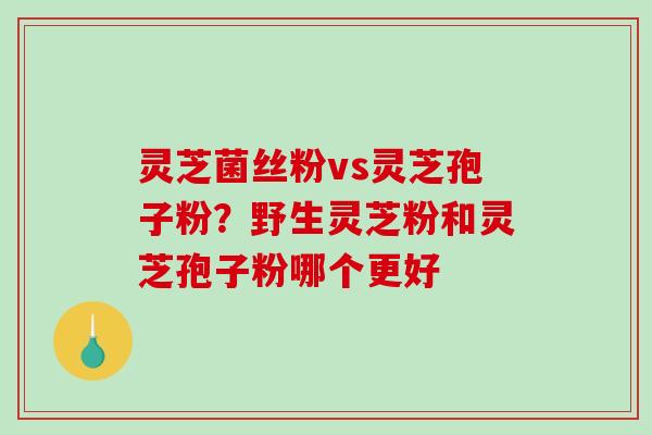灵芝菌丝粉vs灵芝孢子粉？野生灵芝粉和灵芝孢子粉哪个更好-第1张图片-破壁灵芝孢子粉研究指南