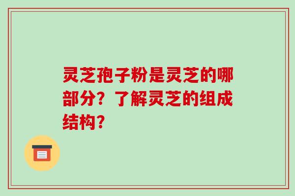 灵芝孢子粉是灵芝的哪部分？了解灵芝的组成结构？-第1张图片-破壁灵芝孢子粉研究指南