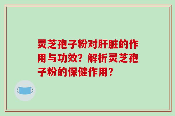 灵芝孢子粉对肝脏的作用与功效？解析灵芝孢子粉的保健作用？-第1张图片-破壁灵芝孢子粉研究指南