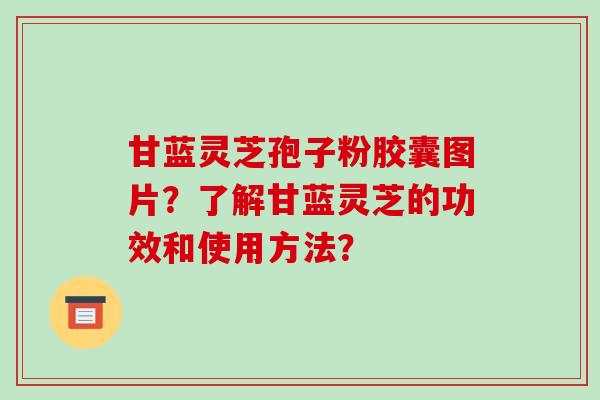 甘蓝灵芝孢子粉胶囊图片?了解甘蓝灵芝的功效和使用方法?-第1张图片-破壁灵芝孢子粉研究指南 甘蓝灵芝孢子粉胶囊图片?了解甘蓝灵芝的功效和使用方法?-第1张图片-破壁灵芝孢子粉研究指南