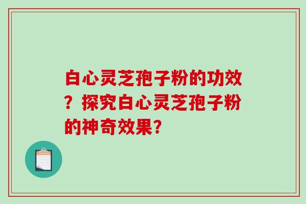 白心灵芝孢子粉的功效？探究白心灵芝孢子粉的神奇效果？-第1张图片-破壁灵芝孢子粉研究指南