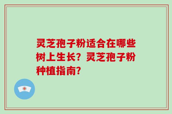 灵芝孢子粉适合在哪些树上生长?灵芝孢子粉种植指南?-第1张图片-破壁灵芝孢子粉研究指南 灵芝孢子粉适合在哪些树上生长?灵芝孢子粉种植指南?-第1张图片-破壁灵芝孢子粉研究指南