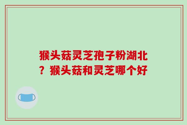 猴头菇灵芝孢子粉湖北?猴头菇和灵芝哪个好-第1张图片-破壁灵芝孢子粉研究指南 猴头菇灵芝孢子粉湖北?猴头菇和灵芝哪个好-第1张图片-破壁灵芝孢子粉研究指南
