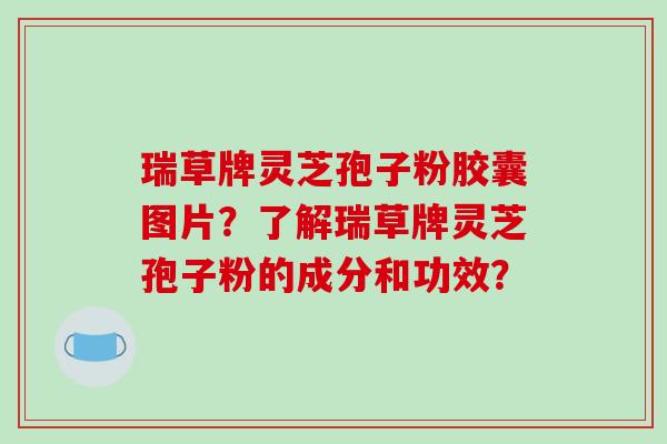 瑞草牌灵芝孢子粉胶囊图片?了解瑞草牌灵芝孢子粉的成分和功效?-第1张图片-破壁灵芝孢子粉研究指南 瑞草牌灵芝孢子粉胶囊图片?了解瑞草牌灵芝孢子粉的成分和功效?-第1张图片-破壁灵芝孢子粉研究指南