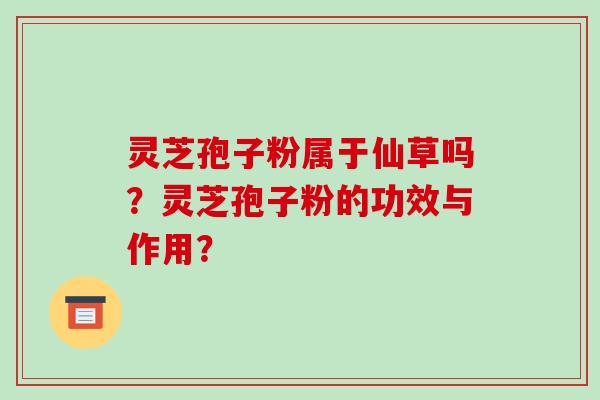 灵芝孢子粉属于仙草吗?灵芝孢子粉的功效与作用?-第1张图片-破壁灵芝孢子粉研究指南 灵芝孢子粉属于仙草吗?灵芝孢子粉的功效与作用?-第1张图片-破壁灵芝孢子粉研究指南