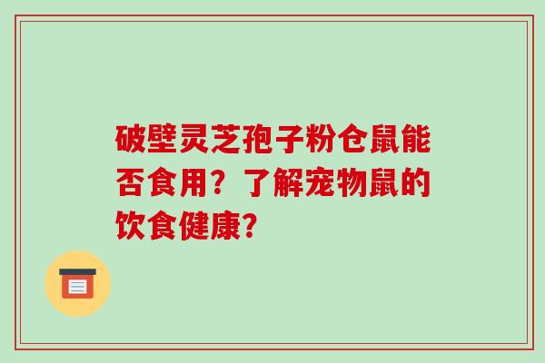破壁灵芝孢子粉仓鼠能否食用？了解宠物鼠的饮食健康？-第1张图片-破壁灵芝孢子粉研究指南