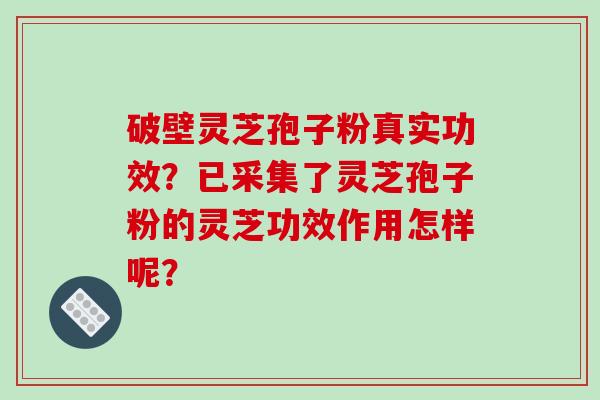 破壁灵芝孢子粉真实功效？已采集了灵芝孢子粉的灵芝功效作用怎样呢？-第1张图片-破壁灵芝孢子粉研究指南