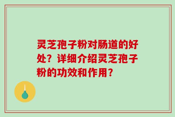 灵芝孢子粉对肠道的好处？详细介绍灵芝孢子粉的功效和作用？-第1张图片-破壁灵芝孢子粉研究指南