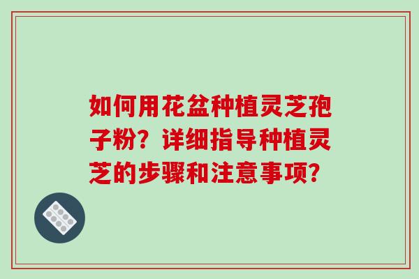 如何用花盆种植灵芝孢子粉？详细指导种植灵芝的步骤和注意事项？-第1张图片-破壁灵芝孢子粉研究指南